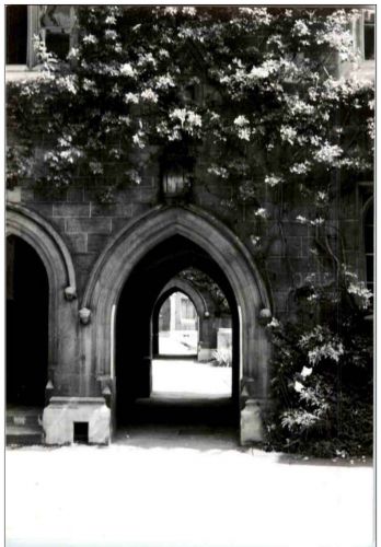 Cambridge 1953