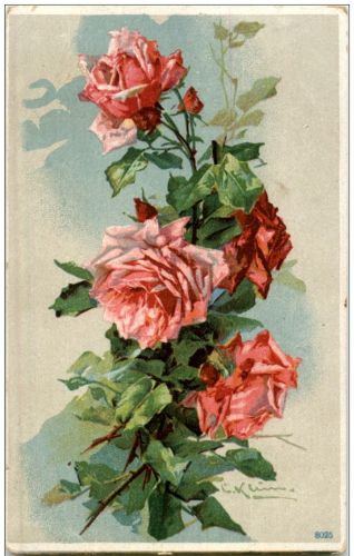 C. Klein - Rosen