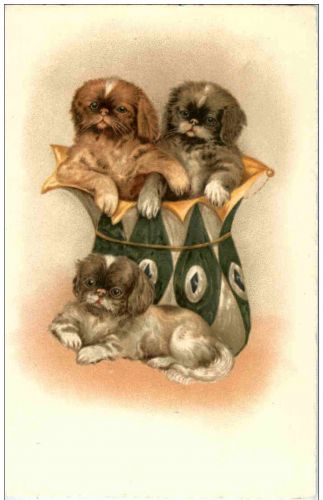 Hunde