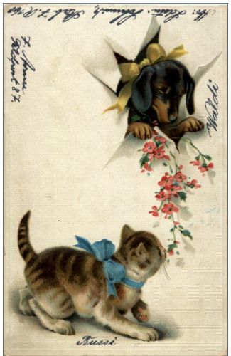 Hund und Katze - Prägekarte