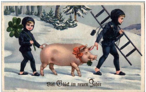 Schwein - Schornsteinfeger