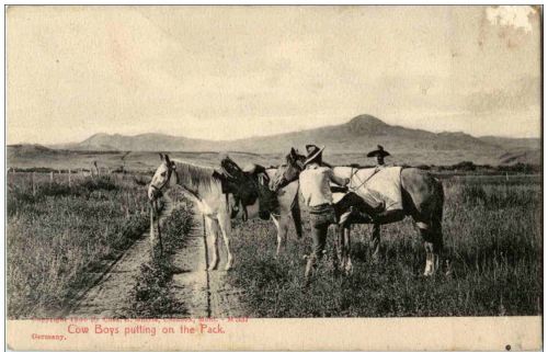 Cow Boys putting on the Pack