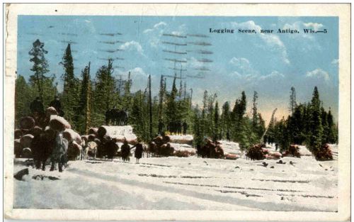 Logging Scene near Antigo