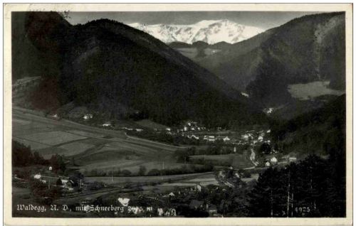 Waldegg mit Schneeberg