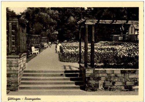 Göttingen - rosengarten