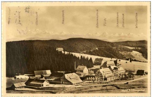 Hotel Feldbergerhof