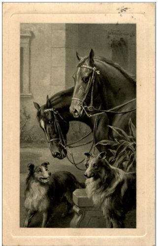 Horse and Dog