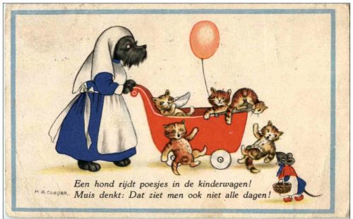 Dog and cats