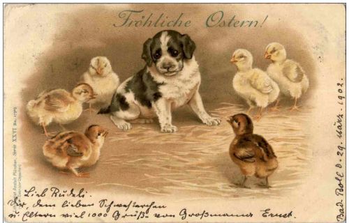 Hund mit Kücken