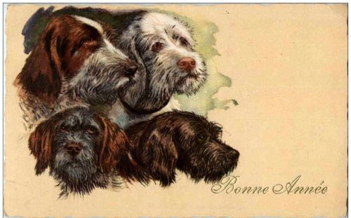 Hunde
