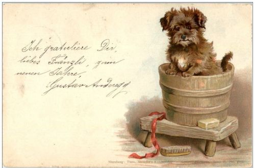 Hund - Litho