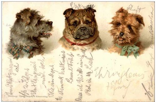 Hund - Litho