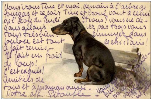 Hunde - Litho