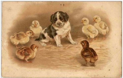 Hunde - Litho