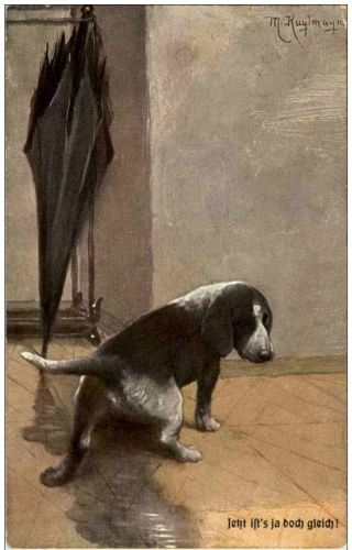 Hund