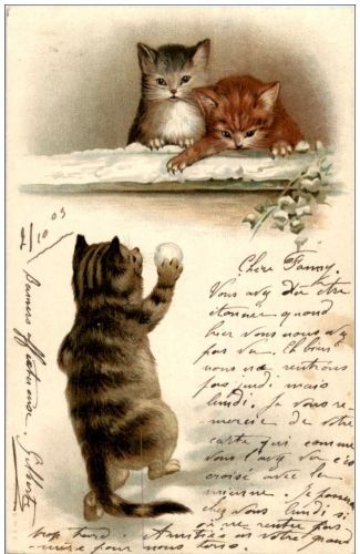 Katzen - Litho