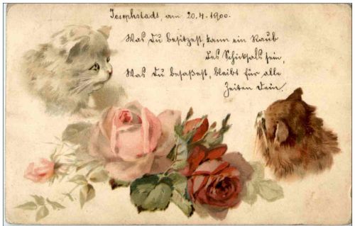 Katzen - Litho