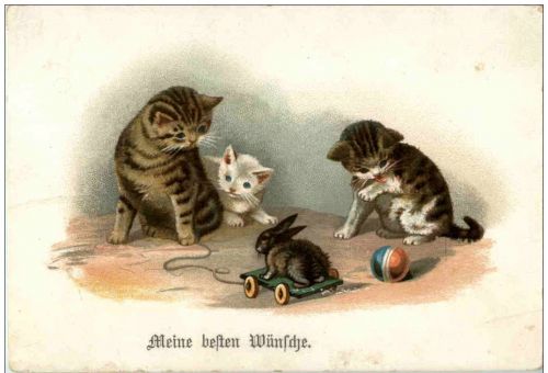 Katzen - Litho