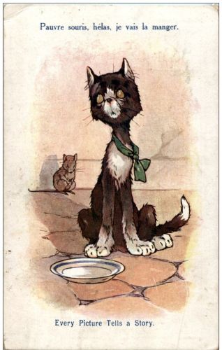 Katze - Humor