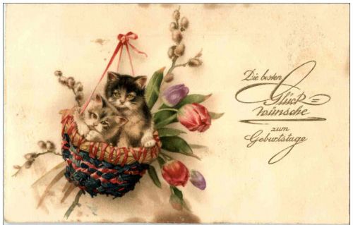 Katzen
