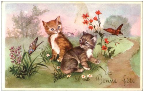 Katzen