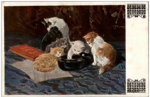 Katzen
