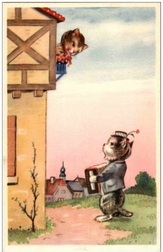 Katzen - Humor