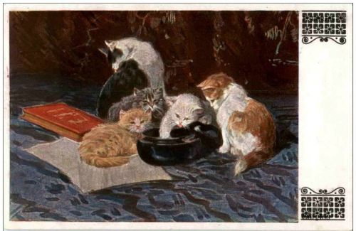 Katzen