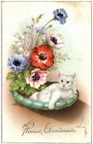 Katzen