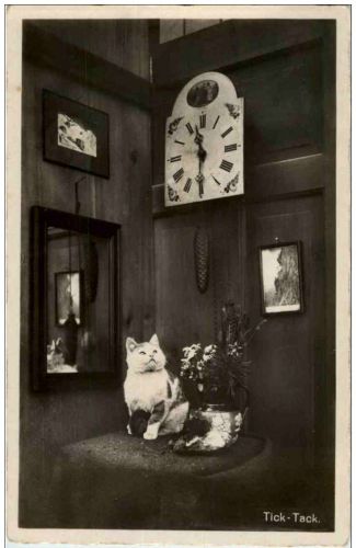 Katzen - Clock