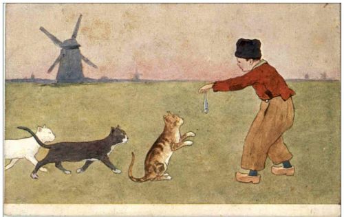 Katzen - Holland