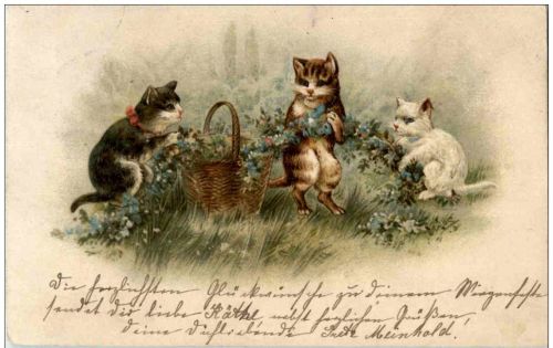 Katzen - Litho