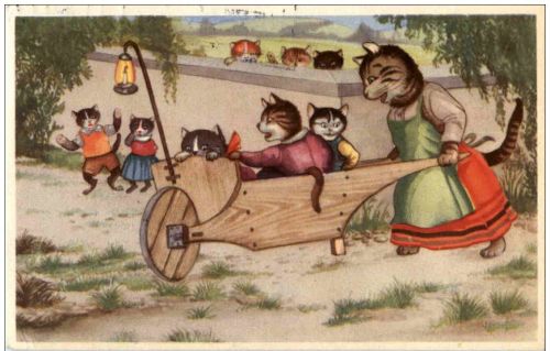 Katzen - Humor