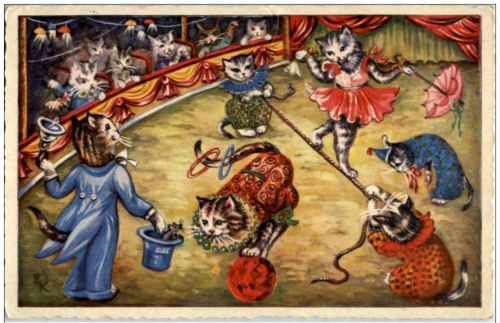 Katzen - Circus