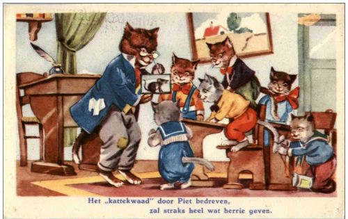 Katzen - Humor