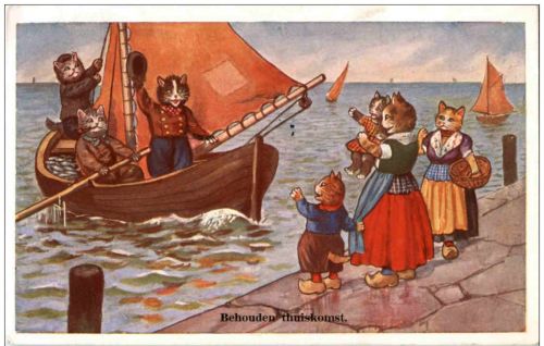 Katzen - Humor