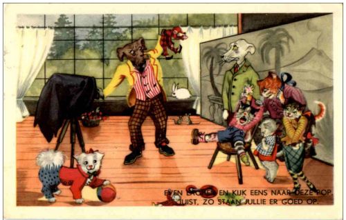 KAtzen Hunde - Humor