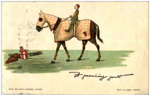 Reiten - Horse