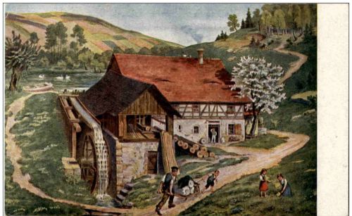 Mühle Wiese