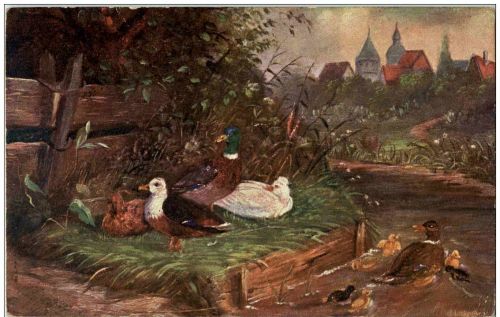 Ente Künstlerkarte