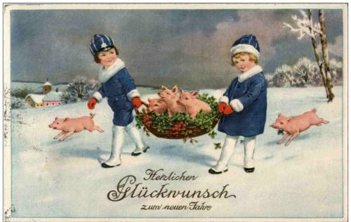 Schweine - Pig