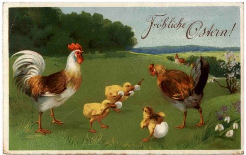 Huhn Chicken