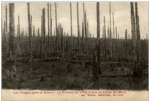 Le Sommet du Violu