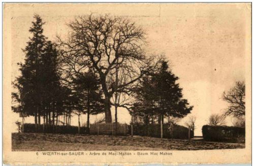 Woerth sur Sauer - Abre de Mac Mahon