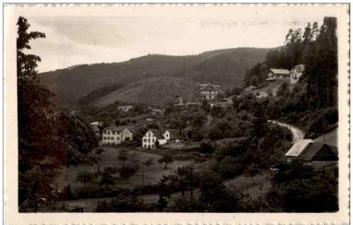 Wangenbourg - Montee au Wangenbourg