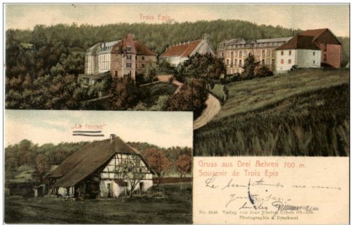 Drei Ähren - Trois Epis