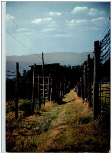 Camp de Deportation de Natzwiller Struthof