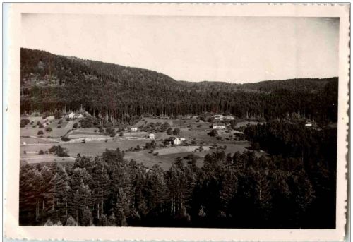 Wangenbourg - Wolfsthal