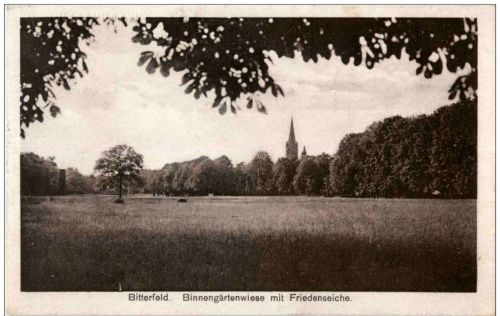 Bitterfeld - Binnengärtenwiese