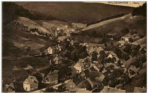 Wildemann im Harz
